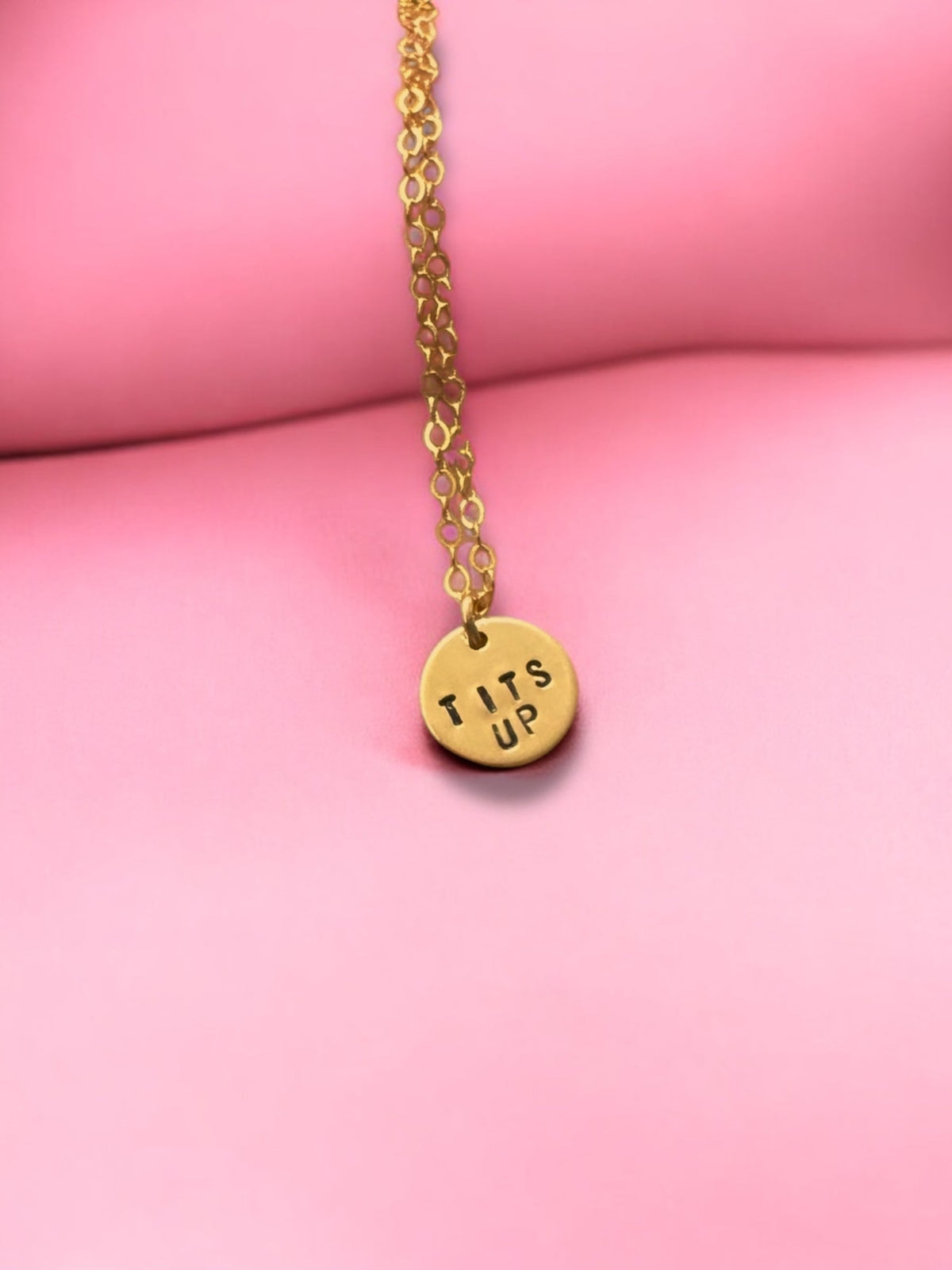Tits up Circle Charm Necklace